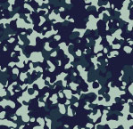 Camouflage Navy