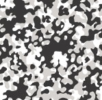 (1364) Camouflage- winter sno
