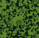 Camuflage - Forrest