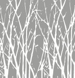 (1589) Frosted tree