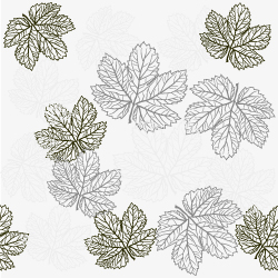 (1534) Leaves