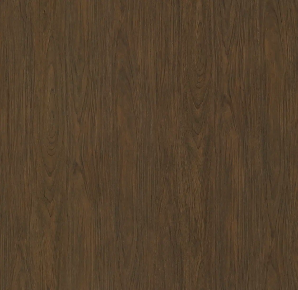 (2365) HR - AA14 Original Oak - (Matte)