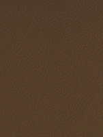 (2553) LP01 - Cognac - (Matte)