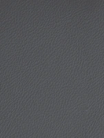 (2556) LP04 - Graphite - (Matte)