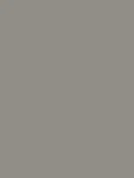 NE79 - Elephant Grey