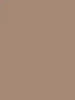 (2255) NH12 - Baked Clay - (Matte)