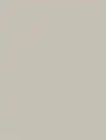 (2260) NH50 - Dune - (Matte)
