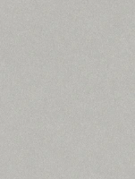 (2603) NL15 - Quartz Gray - (Matte)