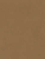 (2609) NL20 - Camel - (Matte)