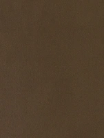 (2610) NL21 - Cocoa - (Matte)