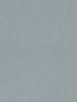 (1842) Q1 - Mat Aluminium - (Metallic)