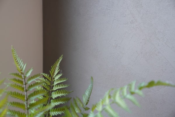 Stone and concrete 