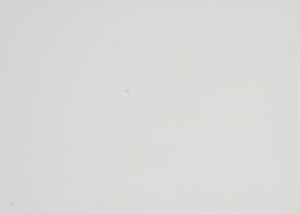 Light Grey (High Gloss) - DFC1