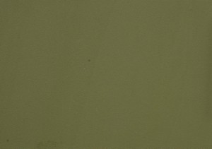 Olive Green (Matte) - DFC2