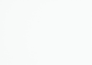 White (Matte) - DFC5