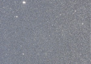 Silver Sparkle - DFG2